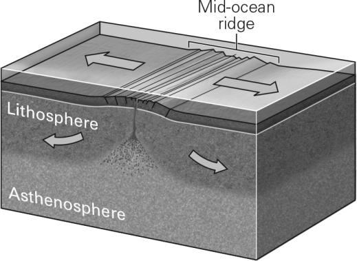 <strong>Which basic type of plate boundary is shown in the image below? </strong> A) convergent B) divergent C) transform D) submerged