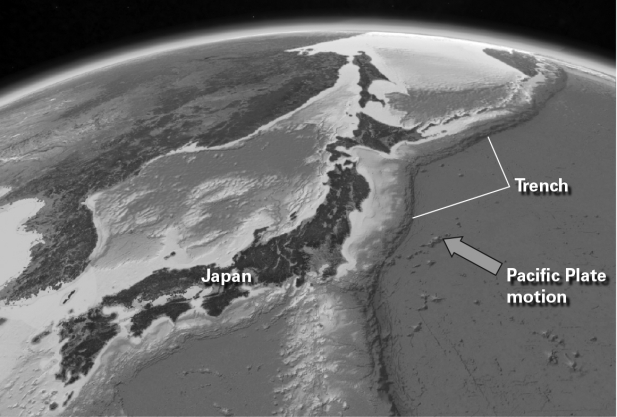 <strong>At the subduction zone where the Pacific Plate is subducting under the islands of Japan,the Wadati-Benioff zone of deep earthquakes </strong> A) extends from the trench westward underneath Japan. B) extends from the trench eastward underneath the Pacific Plate. C) is confined to the trench. D) is absent because there are no earthquakes at subduction zones.