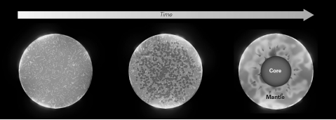 <strong>The term for the separation of the Earth into internal layers early in our planet's history is _______. </strong> A) accretion B) differentiation C) protoplanetary collapse D) nucleosynthesis