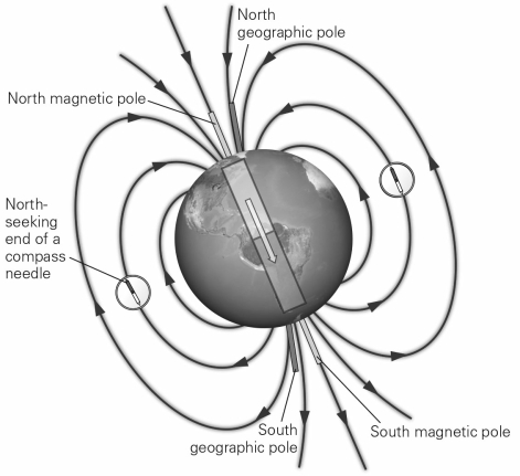 <strong>The shape of the Earth's magnetic field is approximately that of a </strong> A) monopole,as would be produced by just one pole of a magnet. B) dipole,such as that produced by a bar magnet. C) torus,a doughnut-shaped ring parallel to the Earth's equator. D) sphere,following the shape of the Earth.