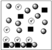 <strong>A soluble ionic species,SX,is dissolved in water.An excess of slightly soluble solid,MX,is added to the solution.Which of the boxes below represents MX in equilibrium with M<sup>+</sup> (squares)and X− (circles)in the presence of SX?</strong> A) B) C) D) E)