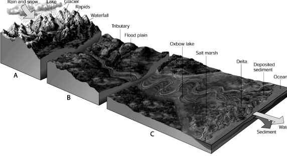 <strong> Use the figure above to answer the following question(s). Biomes are characterized by certain types of ____.</strong> A) light and temperature B) climate and light C) light and climate D) climate and dominant plant life E) dominant plant life and temperature