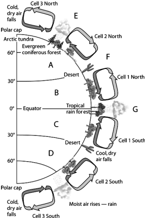 Use the figure above to answer the following question(s). -Choose the letter(s)that represent(s)temperate deciduous forest.