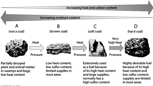 Use the figure above to answer the following question(s). -Which letter indicates the coal called anthracite?
