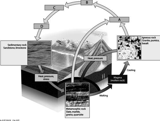 Use the accompanying figure to answer the following question(s). -What is the process in which sediment is placed in a river or lake? Choose A,B,C,or D.