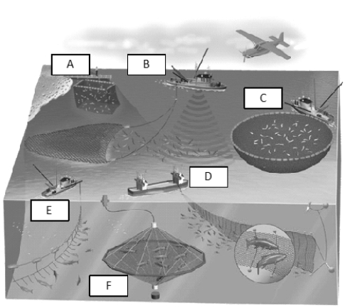 <strong> Use the figure above to answer the following question(s). Which of the following is not an economic service provided by forests?</strong> A) fuelwood B) mining C) erosion reduction D) lumber E) recreation