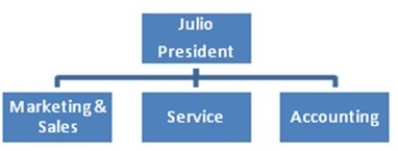 Julio is the owner of Party Time, Inc., a small party supply company. The company provides tents, tables, chairs, and related paraphernalia for weddings, Bar and Bat Mitzvahs, graduations, birthdays, and many other celebratory events. As sales have grown, the organization has hired more employees and has departmentalized to more efficiently handle purchasing, sales, service, and accounting. Everyone is still responsible for achieving company goals. Upon seeing Party Time's organization chart, you agree it uses a line organization model.