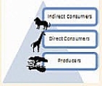 The SmartArt object shown above depicts a(n)________ diagram.
