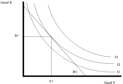 <strong> Refer to the above diagram. In this instance:</strong> A) the BC line is diagonal because the amount spent on both goods is less or equal to income. B) the consumer will find that every point along the I3 line is outside the budget constraint. C) the consumer will find the highest utility where x and y just touch the I2 line. D) all of the above and the consumer can choose any point on or below the budget constraint line BC.