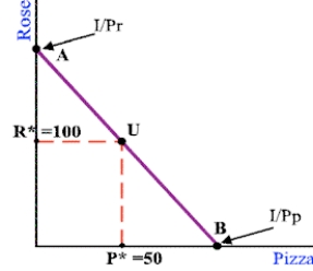 <strong> Refer to the budget line shown in the diagram above. At point U, __________.</strong> A) P1/P2 = MU1/MU2 B) pizza is an inferior product C) P2/P1 = MU2/MU1 D) roses are an inferior product