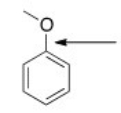 <strong>What orbitals are used to form the indicated bond? </strong> A)sp<sup>3</sup> B)sp<sup>2</sup> C)p D)sp<sup>3</sup> and sp<sup>2</sup>