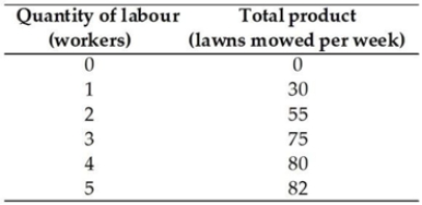 <strong> Kenya owns a lawn-mowing company. His total product schedule is in the above table. When 4 workers are employed, the average product is ________ lawns mowed per week.</strong> A) 25 B) 80 C) 20 D) 5 E) 320