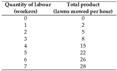 <strong> In the short run, firms increase output</strong> A) only by increasing the size of their plant. B) only by increasing the amount of labour used. C) only by decreasing the size of their plant. D) only by decreasing the amount of labour used. E) either increasing the amount of labour used or increasing the size of their plant.