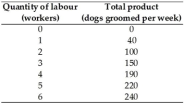 <strong> Anna owns a dog-grooming salon in Brunswick. The above table has Anna's total product schedule. Anna pays each worker $300 per week and she pays rent of $600 a week for her salon. These are her only costs. When Anna has a staff of 2 workers, her average variable cost equals</strong> A) $2,400. B) $6.00. C) $10.00. D) $600. E) $300.