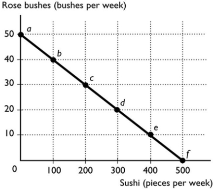 <strong> The figure above shows Sarah's budget line. Sarah earns $500 per week selling baskets. With this money she buys sushi and rose bushes. Each piece of sushi costs $1 and each rose bush costs $10. Sarah is NOT able to purchase the combination of</strong> A) 50 roses bushes and 0 pieces of sushi. B) 30 roses bushes and 300 pieces of sushi. C) 0 roses bushes and 300 pieces of sushi. D) 20 rose bushes and 200 pieces of sushi. E) None of the above answers is correct because Sarah is able to purchase all the listed combinations of roses and sushi.