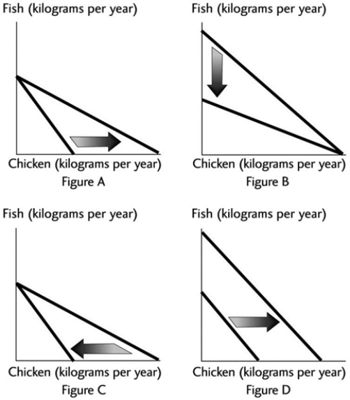 <strong> Which of the above figures reflects an increase in the price of chicken?</strong> A) Figure A B) Figure B C) Figure C D) Figure D E) Both Figure B and Figure C