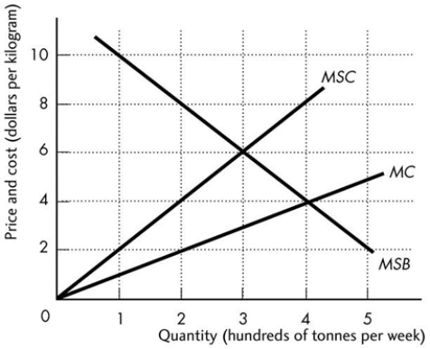 <strong>  The above figure shows the marginal private cost curve, marginal social cost curve, and marginal social benefit curve for blue fin tuna, a common resource. The market equilibrium with no government intervention is</strong> A) zero tonnes per week. B) 500 tonnes per week. C) 400 tonnes per week. D) 200 tonnes per week. E) None of the above answers is correct. <div style=padding-top: 35px> 
