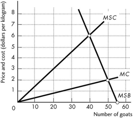 <strong>  For a common resource, the equilibrium with no government intervention is such that ________ equals ________.</strong> A) marginal social cost; marginal social benefit B) marginal social benefit; marginal external cost C) marginal private benefit; marginal social cost D) marginal social benefit; marginal private cost E) marginal external benefit; marginal external cost <div style=padding-top: 35px> 