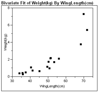 Exhibit 4-4: Biological theory suggests that the relationship between the weight of these animals and their wing length is exponential, i.e. W = α(10)<sup>β</sup>L, or W = α(e)<sup>β</sup>L where W is the wing weight and L is the wing length. -Refer to Exhibit 4-4. For a wing length of the data point where L = 56.0 (Hieraeus fasciatus), what is the predicted bird weight? Show your work below.