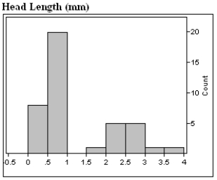 In 1986 marine biologists reported the discovery of a new species of fish in the Western North Atlantic. Data on the head length (n = 41) and pelvic fin length (n = 30) are shown below. a)Describe in appropriate statistical terms, the distributions of these two variables. b)The distribution of head lengths certainly appears to be rather strange. What do you think might account for the shape of this distribution?