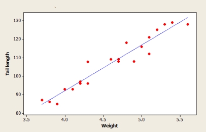 <strong>A scatterplot, residual plot, and a boxplot of residuals from the Minitab output are based on summary quantities given for x = Weight of a fully-grown green iguana (in kilograms) and y = Length of its tail (in centimeters). Does it appear that the assumptions of the simple linear regression model are plausible? </strong> A) Yes, all the graphs show that a linear regression model is reasonable. B) No, because the magnitude of residuals tends to decrease as the weight of species increases. C) No, because the scatterplot shows that a curvilinear regression model is appropriate. D) No, because the boxplot shows that vertical deviations are not normally distributed. E) No, because some curvature is evident on the residual plot.