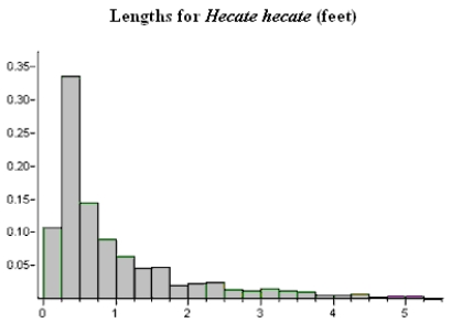 You will be asked to sketch curves representing the distributions of a set of data, as well as the sampling distributions of the mean under different conditions. You need not get these graphs perfectly correct, but should clearly indicate different aspects of the curves, such as location, variability, and shape. The State Fisheries Department wishes to stock the Styx River with fish, and would like the species to not only survive but thrive. (The substrate of a river is an important determinant of the quality of spawning habitat.) The pebble diameters in the river are approximately normally distributed with a mean of 24 mm, and a standard deviation of 8 mm. The Fisheries people will select a random sample of pebbles from the Styx River in an attempt to judge the average pebble size. a) On the scale below, sketch curves representing the distribution of the original population and the sampling distribution of for a sample of size n = 16. b) What is the approximate probability that a sample of n = 16 from this population would result in a sample mean greater than 30 mm? c) Another issue that must be considered in stocking a river with fish is that not only natural predators of the fish, but fishermen and fisherwomen (fisherpersons?) will be taking fish from the river, and thus driving the population down. The graph below is a relative frequency histogram of the lengths of the gentle Hecate fish in the Styx River, as recorded during a massive fish tagging survey. The mean length for these fish was 0.8 feet. Suppose we were to take a random sample, n = 4, from this population of fish and measure their lengths. Describe the shape, center, and spread of the sampling distribution of .