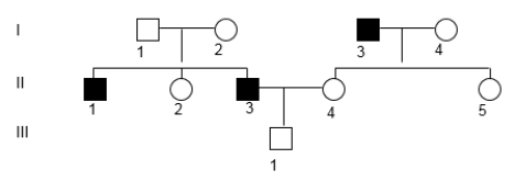 <strong>If the characteristic followed in the pedigree is X-linked recessive allele, what is III-1's genotype? </strong> A) hemizygous for a dominant allele B) hemizygous for a recessive allele C) definitely heterozygous D) definitely homozygous dominant E) either heterozygous or homozygous dominant