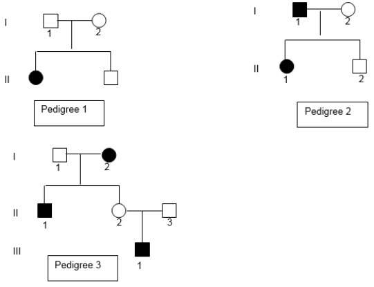 <strong>If the phenotype followed in Pedigree 3 is X-linked recessive, then what is the genotype of II-2? Assume no new mutations and complete penetrance. </strong> A) homozygous dominant B) heterozygous C) homozygous recessive D) hemizygous dominant E) hemizygous recessive