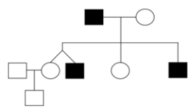 <strong>Assuming that it is not a Y-linked trait, suggest the MOST likely mode of inheritance for the rare trait shown in the pedigree below. </strong> A) autosomal recessive B) autosomal dominant C) X-linked recessive D) X-linked dominant E) mitochondrial