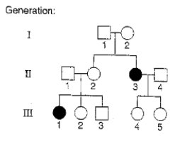 <strong>The pedigree below shows the segregation of an autosomal recessive trait. If III-3 and III-4 marry and have a child, what is the probability that this child will show the trait? </strong> A) <sup>1</sup>/<sub>4</sub> B) 1/6 C) 1/8 D) <sup>1</sup>/<sub>2</sub> E) 2/3