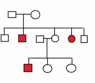 <strong>What is the MOST likely mode of inheritance for the trait segregating in the pedigree below? </strong> A) X-linked recessive B) autosomal recessive C) could be either X-linked recessive or autosomal recessive D) X-linked dominant E) autosomal dominant
