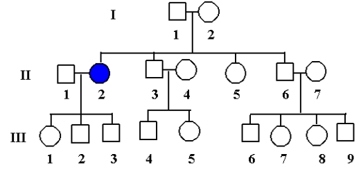 <strong>The pedigree below shows a rare autosomal recessive trait segregating. What is the probability of the first child of a marriage between III-3 and III-7 being affected? </strong> A) 1/12 B) 1/4 C) 1/8 D) 1/16 E) 1/24