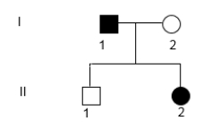 Is it possible that the characteristic in the pedigree below could be X-linked recessive? If so, what is the genotype of each individual? If not, explain why not, giving specific genotypes. Use alleles A and a.