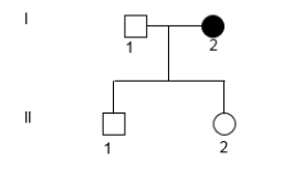 Is it possible that the characteristic in the pedigree below could be autosomal dominant? If so, what is the genotype of each individual? If not, explain why not, giving specific genotypes. Use alleles D and d.