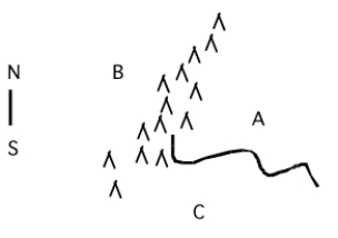 The diagram below represents the ranges of three closely related species (A, B, and C), which are separated by a mountain range and river. As an expert geologist, you hypothesize that the area was originally occupied by a single species. Its range was split first by the mountain range. Later, the river formed, separating populations on the eastern side of the mountains. If your hypothesis is correct, what should the phylogenetic relationships be among the three species? Draw a phylogeny as your answer.  <div style=padding-top: 35px> 