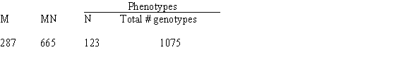 You are studying cannibals in Borneo and want to determine if a specific village population is in Hardy-Weinberg equilibrium with respect to the two co-dominant M and N blood type alleles (L<sup>M</sup>, L<sup>N</sup>) segregating at the single-gene locus. The following are sample data from this population of the cannibals:   a. Calculate the genotypic frequencies. b. Calculate frequencies for the L<sup>M</sup> and L<sup>N</sup> alleles. c. Determine whether this population of Borneo cannibals is in Hardy-Weinberg equilibrium.<div style=padding-top: 35px> 