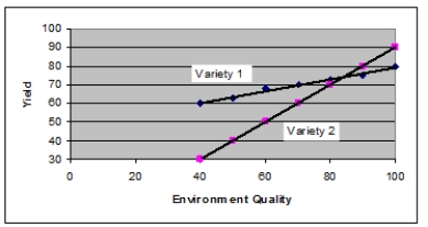 <strong>The graph below shows how yield in two varieties of corn respond to different environmental conditions. Which of the following statements is TRUE?</strong> A) Under tested conditions, variety 1 has a higher yield than variety 2. B) Under tested conditions, variety 2 has a higher yield than variety 1. C) Under tested conditions, variety 2 is more sensitive to environment quality than variety 1. D) Variety 1 is genetically superior to variety 2. E) Variety 2 is genetically superior to variety 1.