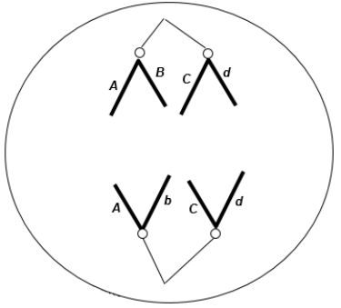 <strong>The following figure shows a chromosomal separation taking place. The letters stand for genes; capital and lowercase letters stand for different alleles. The diploid chromosome number in this organism is four. What process is shown? </strong> A) anaphase of mitosis B) telophase of meiosis I C) anaphase of meiosis I D) telophase of mitosis E) anaphase of meiosis II