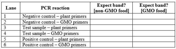 You are attempting to determine whether a plant-derived processed food sample (for example, a corn chip) contains material from a genetically modified organism (GMO). First, you crush the sample and attempt to extract DNA from it. Next, you perform PCR using two different sets of primers. One primer set will amplify a DNA sequence present in all plants. The second primer set will amplify a DNA sequence only found in GMO plants. a. Why must you use both sets of primers for this experiment? b. In addition to the test sample, you obtain a negative control sample (food material you are certain does not contain GMO material) and a positive control sample (food material you are certain does contain GMO material). You perform the DNA extraction on these three samples and then the PCR reactions with each of the two primer sets described above. Complete the following table with your expectations for this PCR reaction. c. You obtain the results shown in the panel below. What conclusions can you draw from these reaction results? Does this test sample contain genetically modified components? Why or why not?