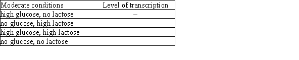 Fill in the blanks in the level of transcription column of this table with (+) for high levels of transcription, (+/-) for Moderate levels of transcription, and (-) for minimal levels of transcription of the lac operon. Consider regulation by both the lac repressor and CAP (catabolite activator protein). The strain is wild type with no partial diploidy. The first line is filled in for reference.  <div style=padding-top: 35px> 