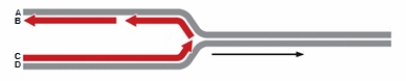 <strong>In the diagram below, which letter indicates the 5'end of the leading strand? </strong> A) A B) B C) C D) D E) C and D