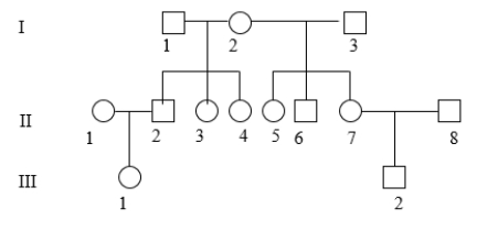 <strong>Assuming there are no heteroplasmic individuals but that people from different families have different DNA, how many different mitochondrial DNAs are there in the pedigree below? </strong> A) 2 B) 4 C) 5 D) 6 E) 7