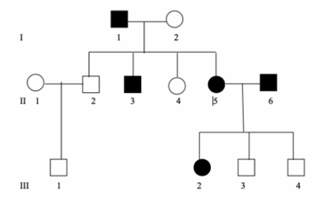 <strong>Based on the pedigree below, which of the following statements correctly interpreted the pedigree with respect to X-linked dominant, X-linked recessive, Y-linked, mitochondrial, autosomal recessive, and autosomal dominant inheritance? (Select all that apply.) </strong> A) The phenotype presented is X-linked dominant because II-3 has the same phenotype as I-1. B) The phenotype presented is X-linked recessive because III-3 and III-4 do not have the same phenotype as II-5. C) The phenotype cannot be Y-linked because II-2 doesn't have the same phenotype as I-1. D) The phenotype could be autosomal recessive as III-3 and III-4 don't have the same phenotype as II-5. E) The phenotype could be autosomal dominant if II-5 and II-6 are heterozygotes, and III-3 and III-4 are homozygous recessive.