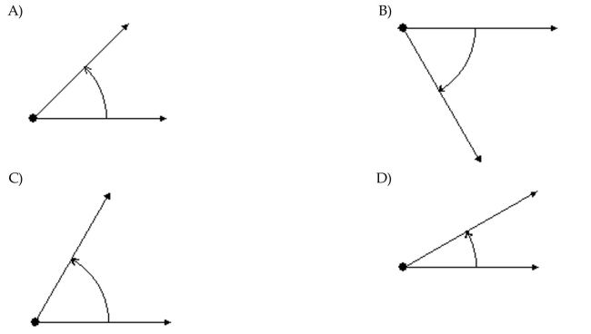 Draw the angle. 60°