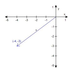 Find the magnitude of vector v.    