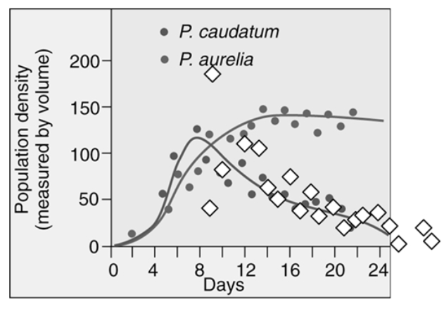 Which statement correctly interprets the graph?  
