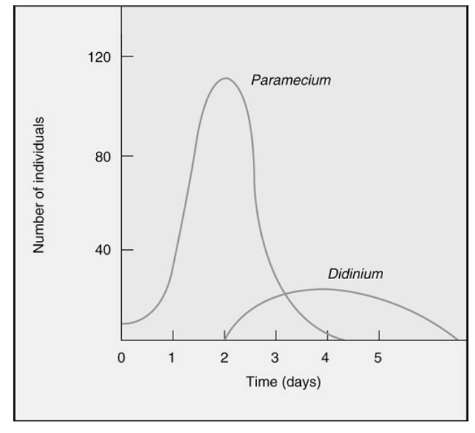 Based on the following graph, what is the most likely relationship between Paramecium and Didinium?