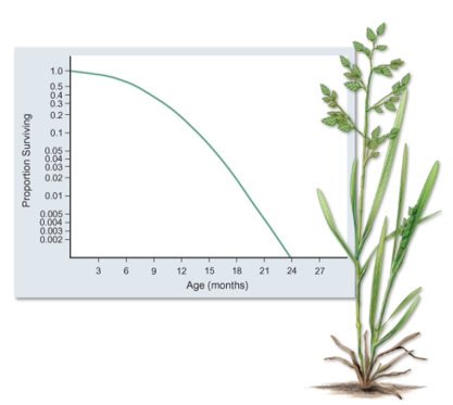 What is the most reasonable conclusion that can be made from data graphed in the figure?