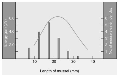 <strong>Which of the following is the best interpretation of the graph below of mussel size (x-axis) versus energy gain (line graph, left y-axis), and number of mussels eaten per day (histogram, right y-axis)? </strong> A)Mussels are selected as food sources by crabs. B)Crabs select mussels in a way that maximizes their energy gain. C)Mussel size does not seem to be a good predictor as to which mussel hungry crabs will select. D)Crabs tend to consume most of the largest mussels.