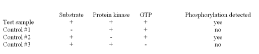 <strong>You are performing an experiment to assay phosphorylation of a substrate by a protein kinase.Based on the data in the table below, what do these experimental results suggest? </strong> A)GTP is not required for phosphorylation. B)The substrate can undergo autophosphorylation. C)The substrate is not required for phosphorylation. D)The protein kinase is required for phosphorylation.